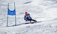 马术赛事场地标准国际化提升，标准马术场地大小