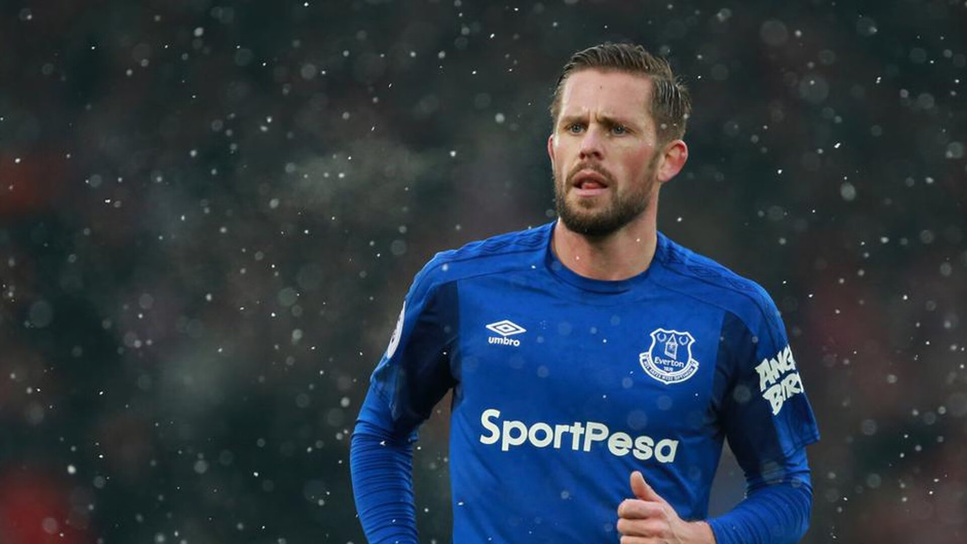 公牛球迷应援横幅登上主场大屏幕,公牛队主场壁纸